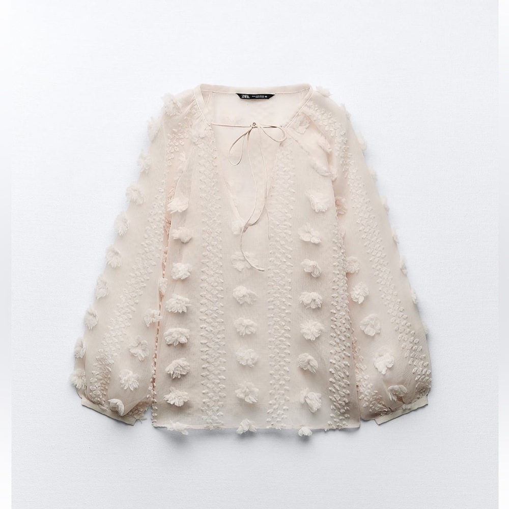 Floral Appliqué Blouse - Zara - Small (NWT)